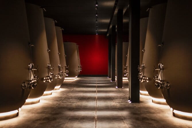 Vineyard Tour with Light Lunch in Valpolicella - Who Will Appreciate This Tour?