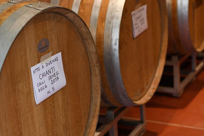 Vineyard Visit With Local Appetisers and Wine Tasting - Grape Varietals and Wine-making