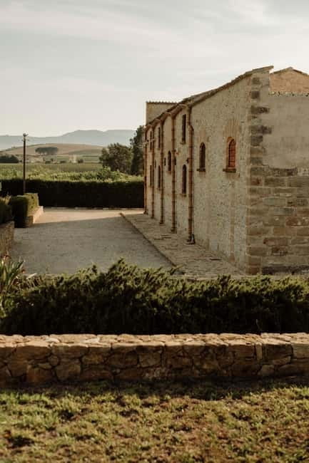 Vineyard Walk and Tasting - Key points / Takeaways