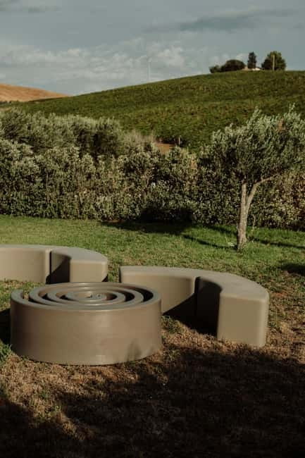 Vineyard Walk and Tasting - Entering the Sicilian Landscape: A Walk Among Vines