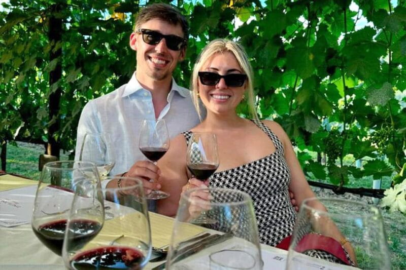 Vineyard Walk, Lunch or Dinner with Wine Tasting - Key Points / Takeaways