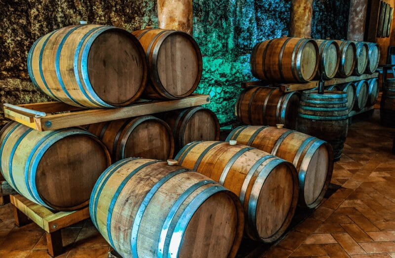 Vineyard Walk & Wine Tasting in the Berici Hills of Vicenza - Key Points / Takeaways