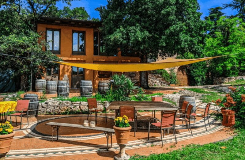 Vineyard Walk & Wine Tasting in the Berici Hills of Vicenza - The Value of This Experience