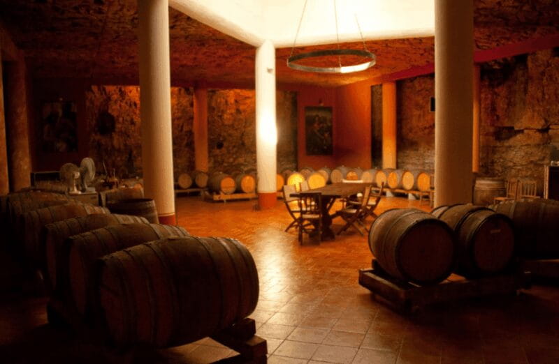 Vineyard Walk & Wine Tasting in the Berici Hills of Vicenza - Who Will Love This Tour?