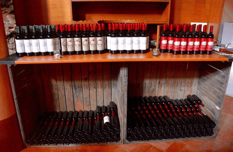 Vineyard Walk & Wine Tasting in the Berici Hills of Vicenza - Practical Tips for Visiting