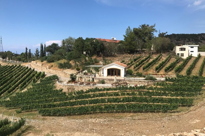 Vineyard & Wine Tasting Tour - Accessibility and Recommendations