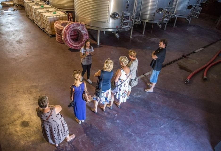 Vineyards of Alicante: Wine Tasting Tour - Itinerary Highlights