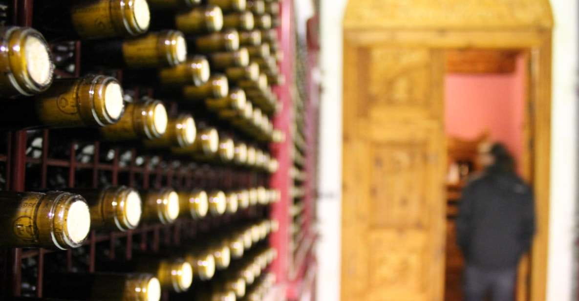 Vineyards of Alicante: Wine Tasting Tour - Things To Know