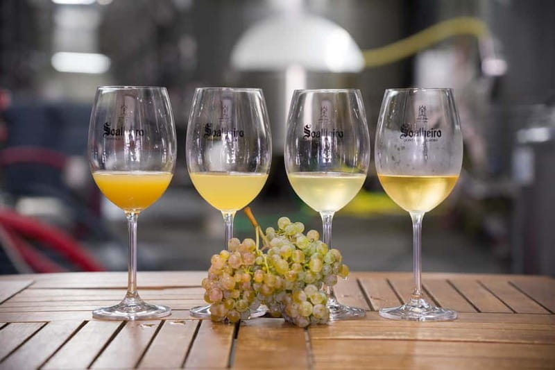 Vinho Verde: Private Wine Tasting w/ Tapas & Fortress Visit - Key points / Takeaways