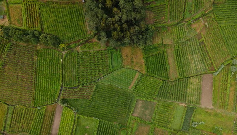 Vinho Verde: Private Wine Tasting w/ Tapas & Fortress Visit - Who Should Consider This Tour?