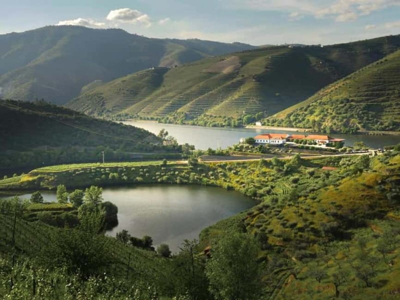 Vinho Verde: Visit 3 Wineries with wine tastings and Lunch - The Sum Up
