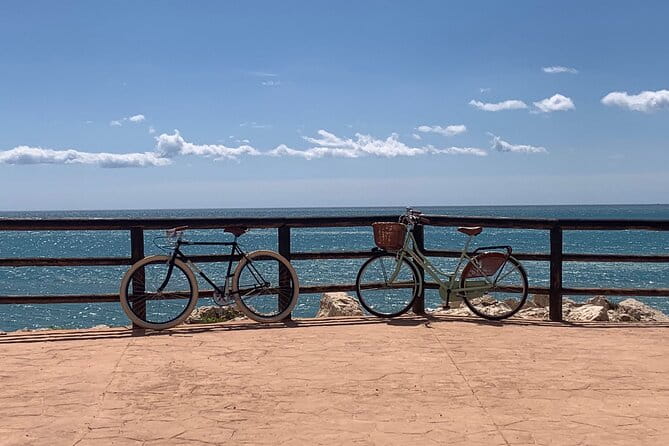 Vintage Style Bike Rental in Malaga - Detailed Review