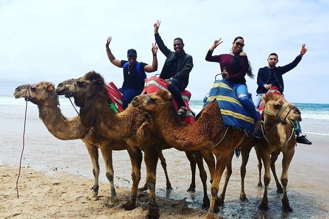 Vip Full Day Private Tangier Tour From Malaga All Inclusive - Exploring the Itinerary in Detail