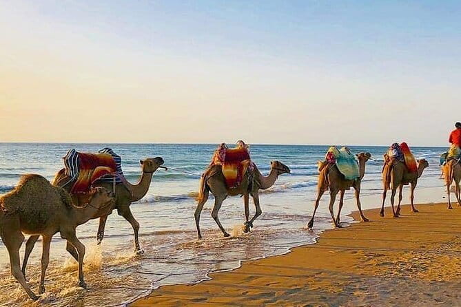 Vip Full Day Private Tangier Tour From Malaga All Inclusive - Frequently Asked Questions