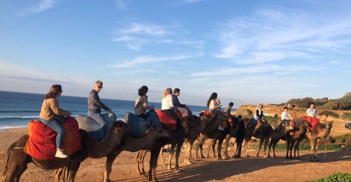 Vip Full Day Private Tangier Tour From Malaga All Inclusive - Cancellation and Payment Options