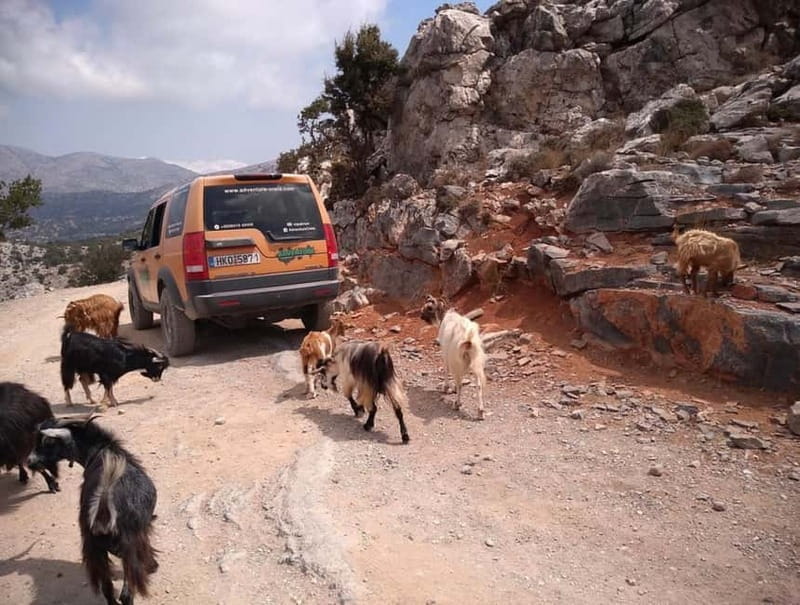 VIP Full-Day Private Tour (See the best with Professionals) - Price and Value