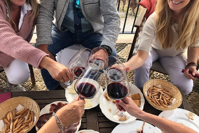 VIP Ronda Wine Tour and Tasting and Gourmet Lunch Experience with Winemaker - Key points / Takeaways