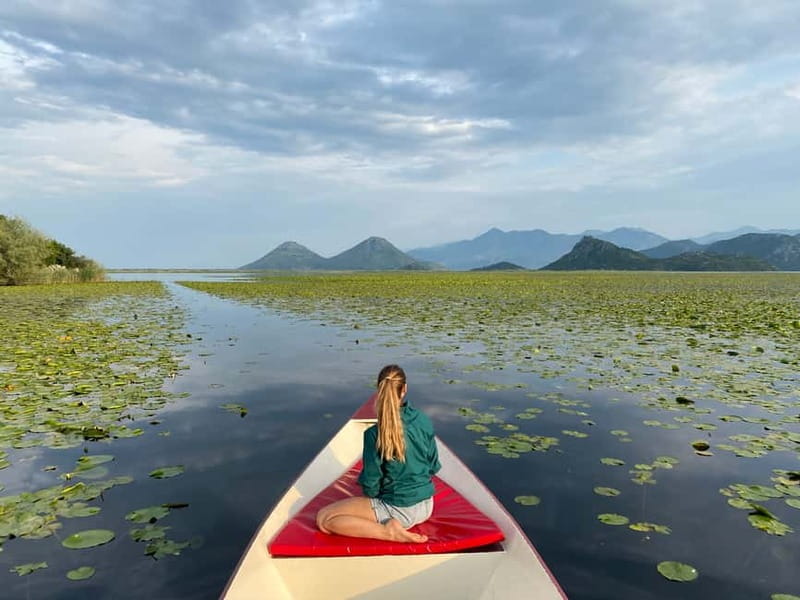 Virpazar: Amazon wilderness speed boat cruise - Key points / Takeaways