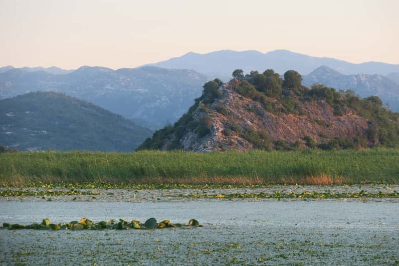 Virpazar: Amazon wilderness speed boat cruise - Discovering the Essence of Lake Skadar by Speed Boat