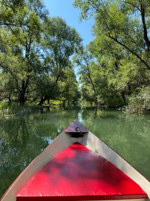 Virpazar: Amazon wilderness speed boat cruise - Why This Tour Offers Genuine Value