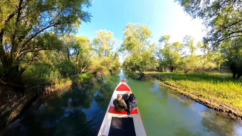 Virpazar: Amazon wilderness speed boat cruise - Who Will Love This Experience?