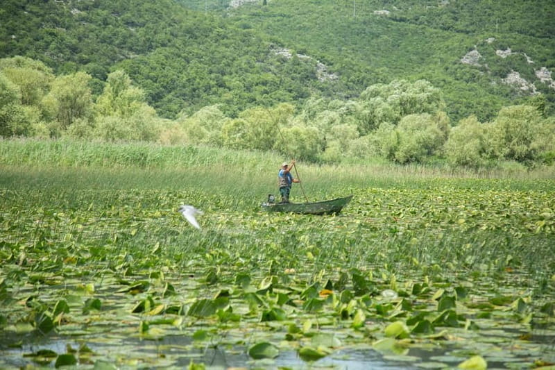 Virpazar: Lake Skadar Sightseeing Cruise - Concluding the Journey at Rijeka Crnojevica