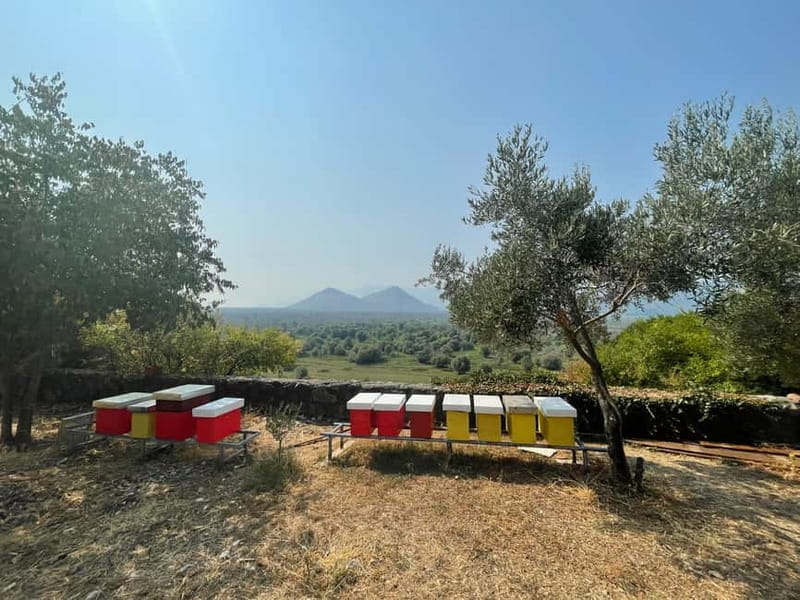 Virpazar: Skadar Lake by Boat and Kom Monastery Guided Tour - Who Should Consider This Tour?