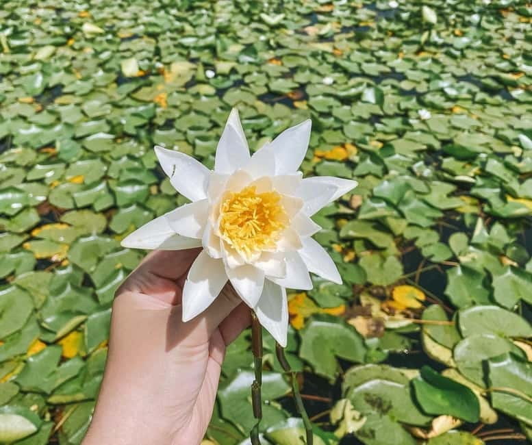 Virpazar: Skadar Lake by Boat and Kom Monastery Guided Tour - Price and Value