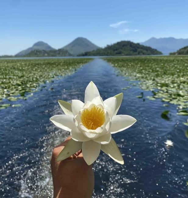 Virpazar: Skadar Lake National Park Guided Boat Tour - Final Thoughts: Is It Worth It?