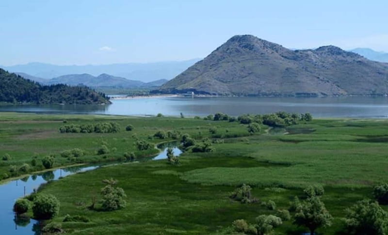 Virpazar: Skadar Lake National Park Guided Boat Tour - FAQ Section