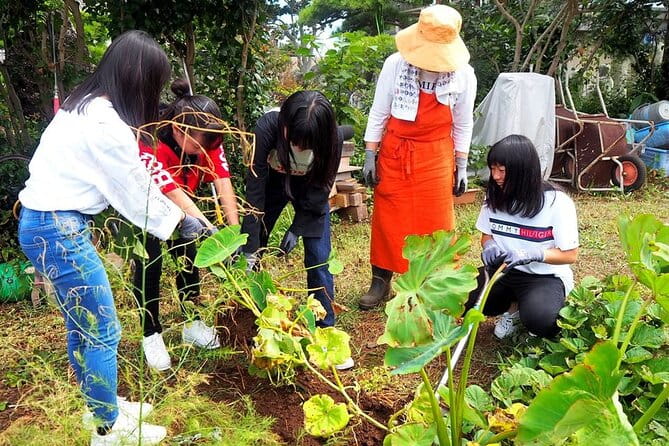 Visit a Locals Home in Ojika Island Nagasaki - Health and Accessibility