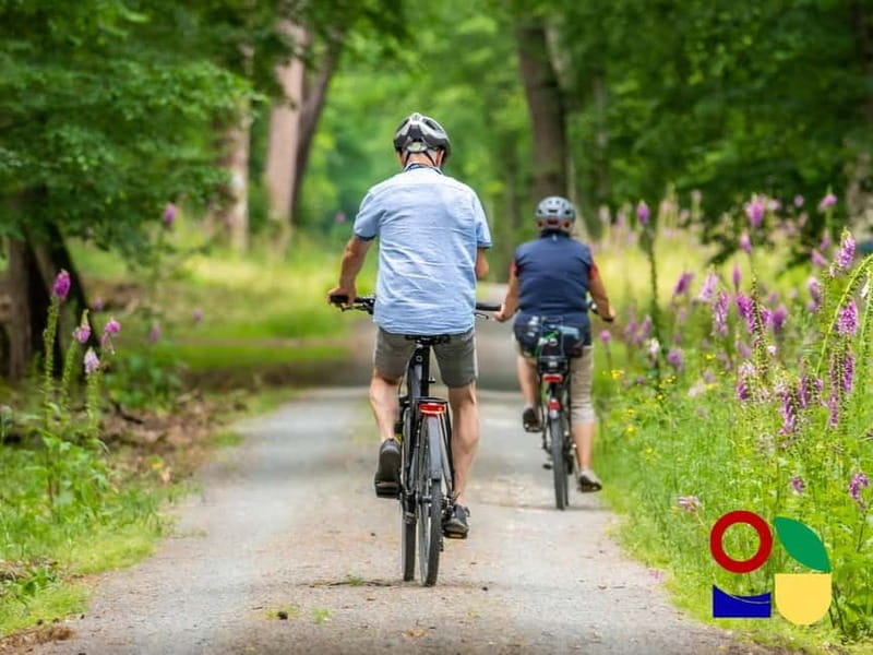 Visit a village by e-bike and taste the excellent wine - Key points / Takeaways