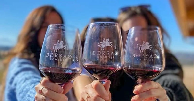 Visit a wine cellar, a wine museum and a traditional meal - Key points / Takeaways