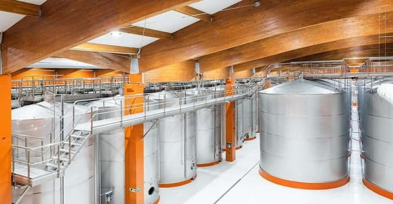 Visit a wine cellar, a wine museum and a traditional meal - Practicalities and Logistics