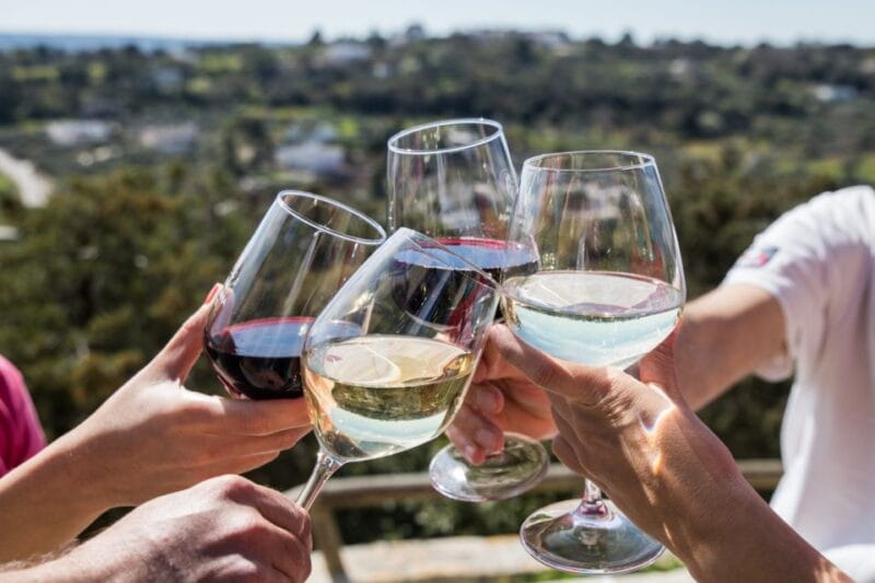 Visit a winery and an oil mill in Cisternino - Entering Cisternino: A Village Like No Other