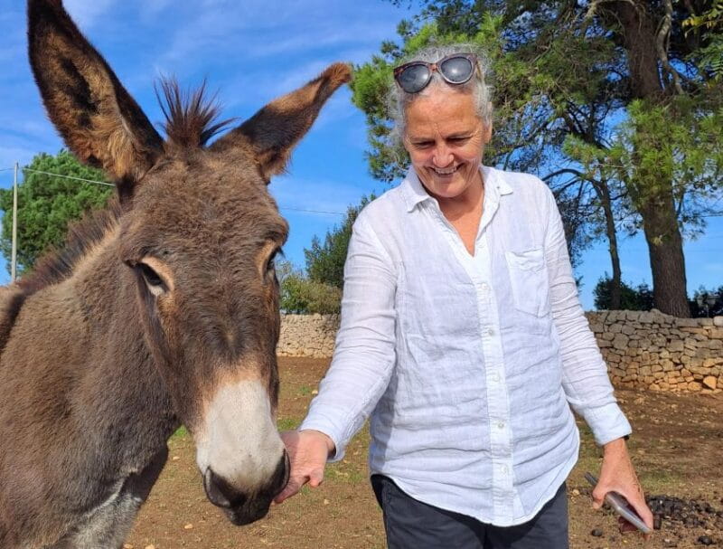 Visit a winery and an oil mill in Cisternino - Price and Logistics: Is It Worth It?