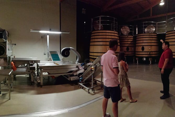 Visit a winery in Rioja - Exploring the Rioja Wineries