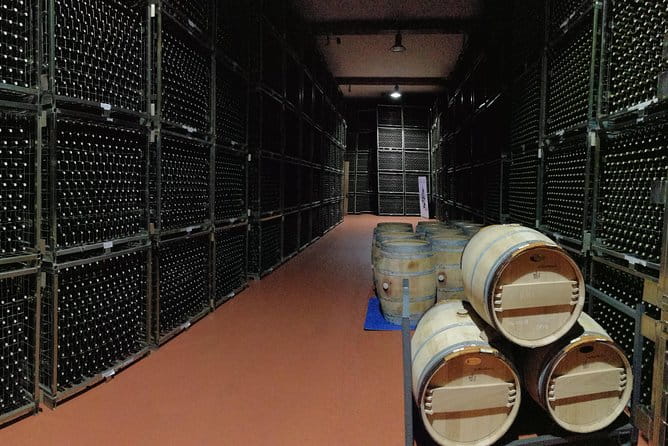 Visit a winery in Rioja - In-Depth Look: The Itinerary and Experience
