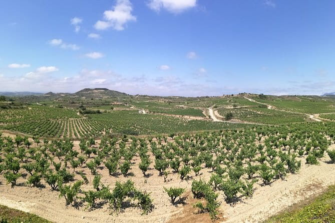 Visit a winery in Rioja - FAQ