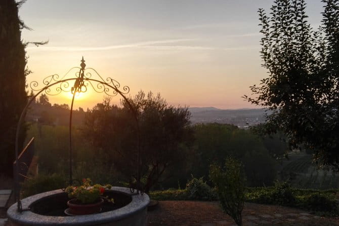 Visit among vineyards and wine cellar with wine tasting in Nizza Monferrato - In-Depth Look at the Experience