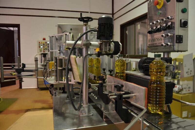 Visit an almazara + extra virgin olive oil tasting: Baeza - Key Points / Takeaways