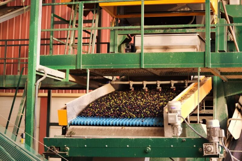 Visit an almazara + extra virgin olive oil tasting: Baeza - Entering The World of Olive Oil: A Guide to the Experience