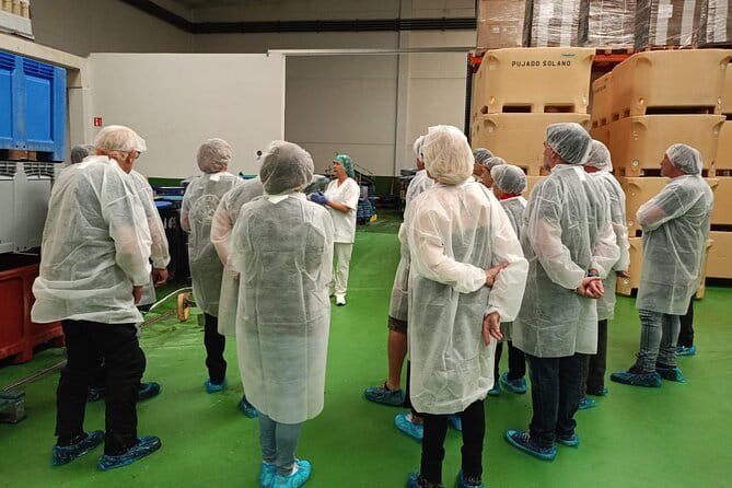 Visit and Gastronomic Experience of the Santoña Anchovy Factory - Key points / Takeaways