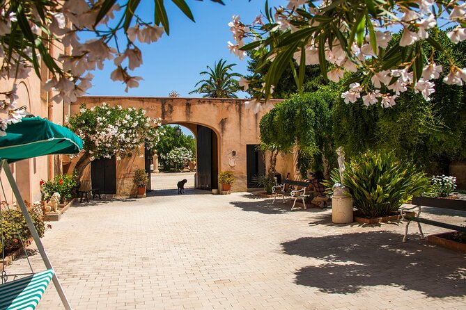 Visit and Private Tasting of EVO Oil and Organic Wine - Exploring Azienda Agricola Baglio Ingardia