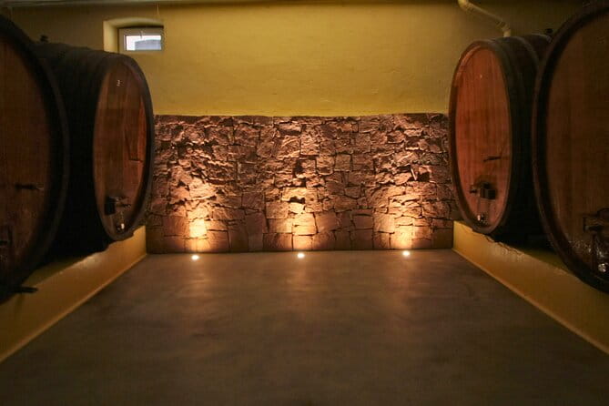 Visit and tasting of wines and cheese and charcuterie platter - Entering the Cellar: An Authentic Journey