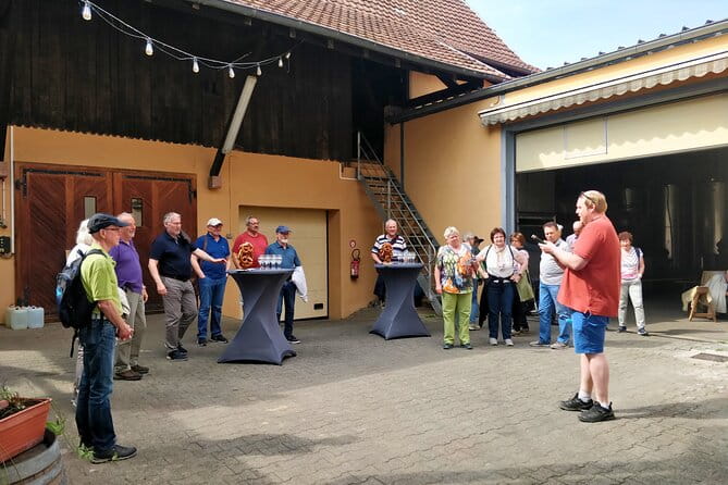 Visit and tasting of wines and cheese and charcuterie platter - Price and Value: Is It Worth It?