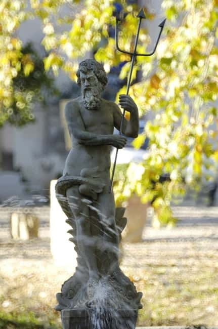 Visit and tasting - The essential - The Vineyard Walk and Gardens