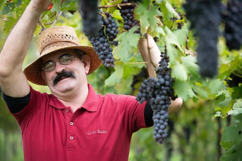 Visit and tasting with the producer - Key points / Takeaways