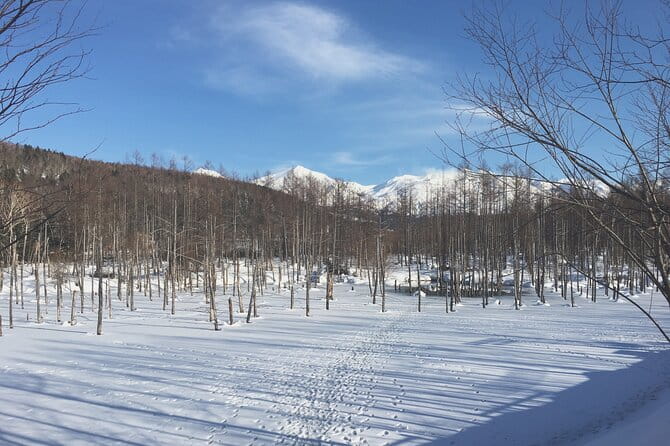 Visit Asahiyama Zoo, Fascinating Aoi-Ike From Sapporo - Flexible Booking and Lowest Price Guarantee