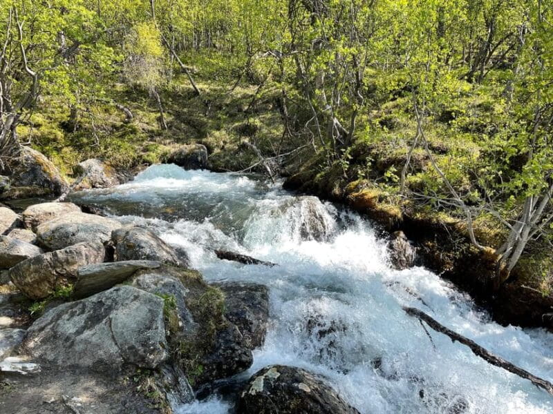 Visit Bubbelen, river comes out of the ground. - Key points / Takeaways